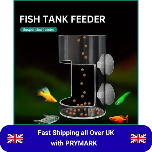 Aquarium feeding ring - aquarium,