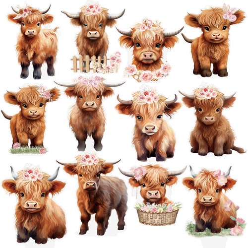 Highland cow cupcake toppers - highland,