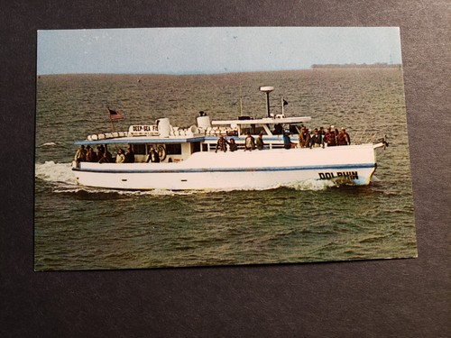 Deep sea fishing boat dolphin - fishing,