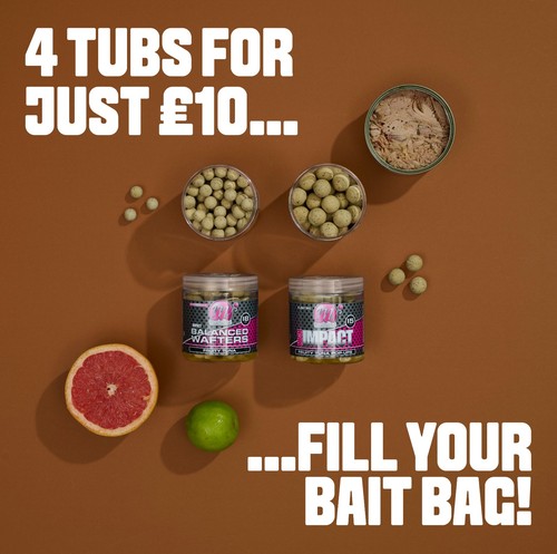 Mainline baits pop ups - baits, pop-ups