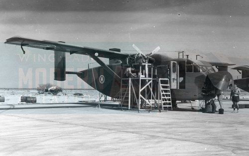 Short skyvan royal - short,
