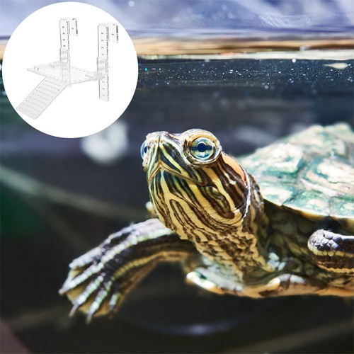Turtle tank accessories - tank,