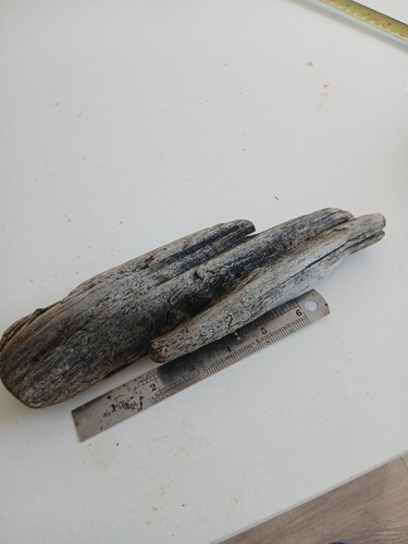Unusual driftwood piece flat - unusual,