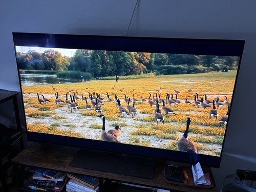Panasonic 55z80aey - panasonic, tv-55z80aey