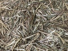 Premium timothy rye hay bale - timothy,