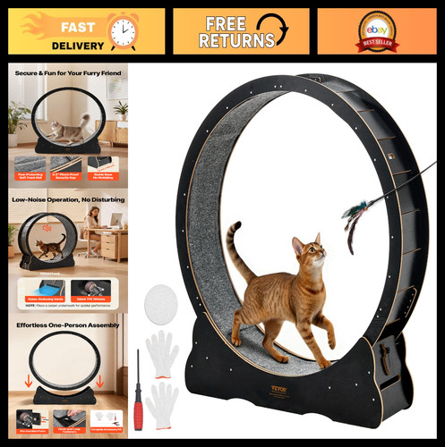Indoor cat exercise - indoor, wheel