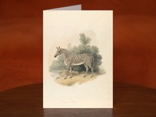A Zebra by Samuel Howitt (ca. 1807) - A5 Art Print Greeting Card