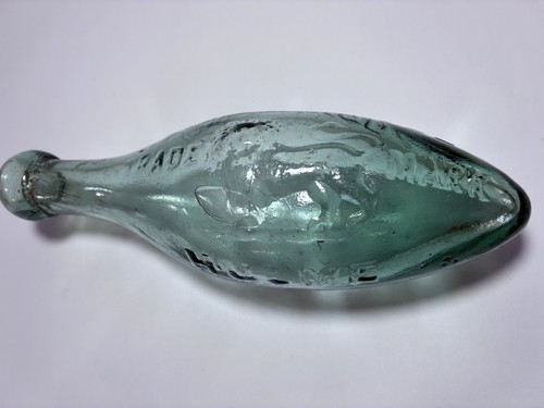 Stunning large lion - large, pictorial