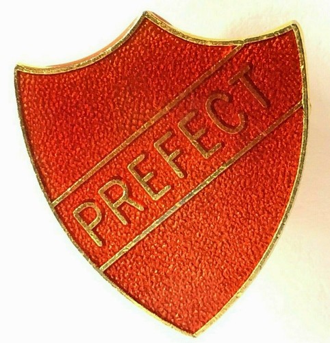 Vintage school prefect orange - school,