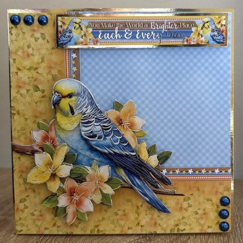 Handmade budgie - 6"x6",