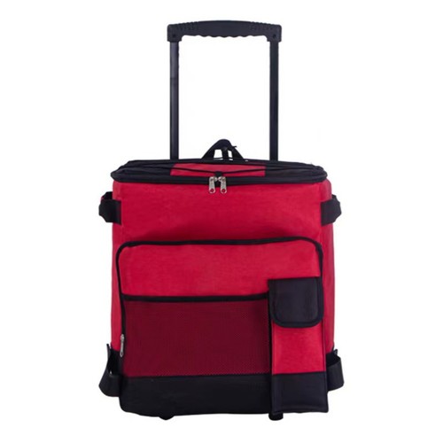 Wheeled insulated cooler - insulated, bag