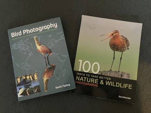 Nature wildlife photography - nature, &