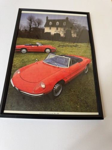 New framed print alfa - new,