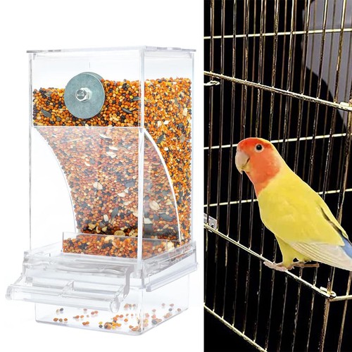 Auto bird feeder - feeder, no