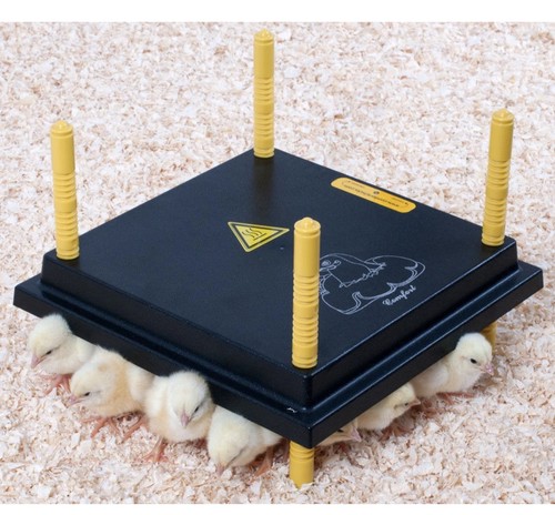 Comfort chick brooder - comfort,