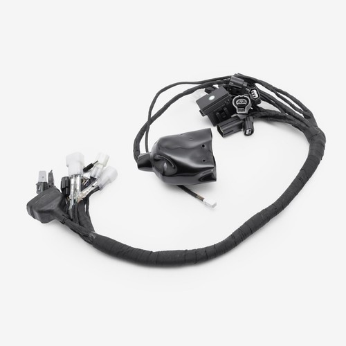 Full charged wiring - loom, for