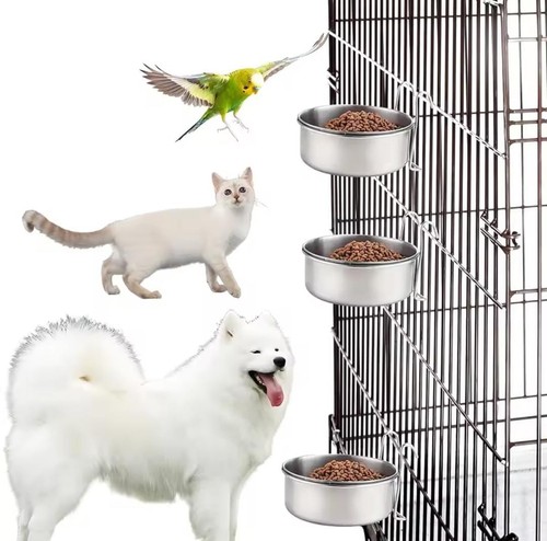 Dog puppy cat - dog,