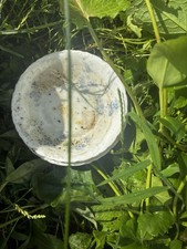 2 Bowls