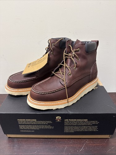 Irish setter 83605 ashby - irish,