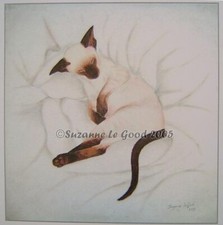 Siamese cat kitten art print