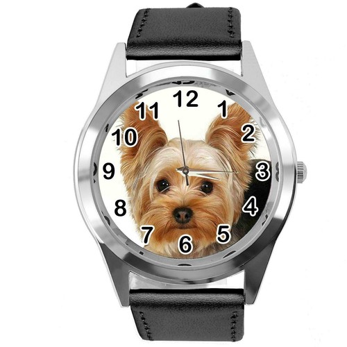 York yorkie yorkshire terrier - york,
