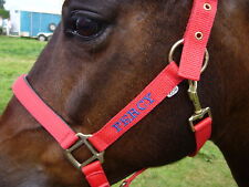 Personalised Embroidered Headcollar FROM £9.90. Shetland Size