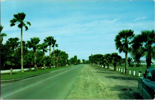 Corpus christi postcard - corpus,