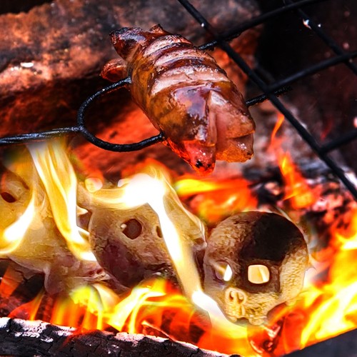 Fire pit skull - fire,