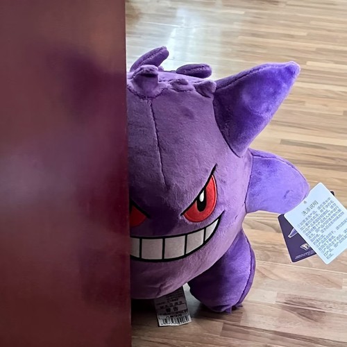 Pokemon plush toy kids - toy, gift