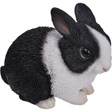 VIVID ARTS SITTING DUTCH