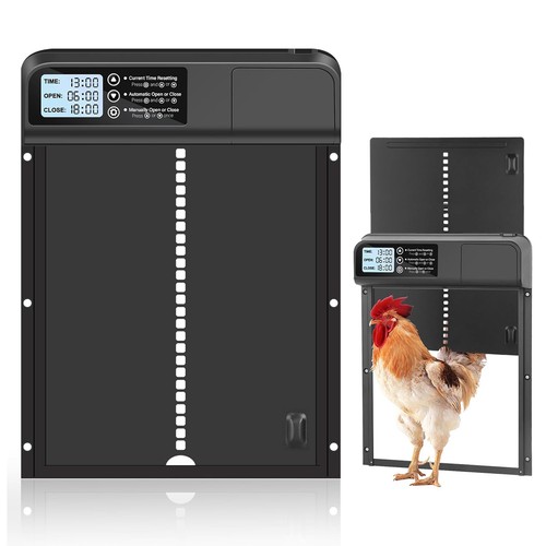 Automatic chicken coop door - coop,