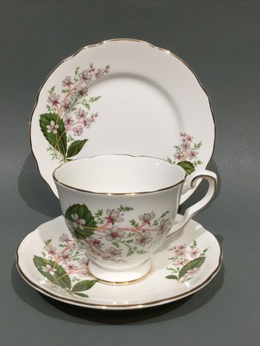 Royal stafford bone - royal,