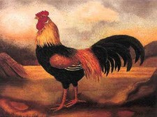 English Native Animals -An Old English Game Cock by Artist Alexandra Churchill