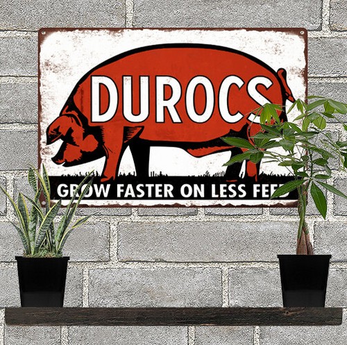Durocs pig feed man cave - durocs,