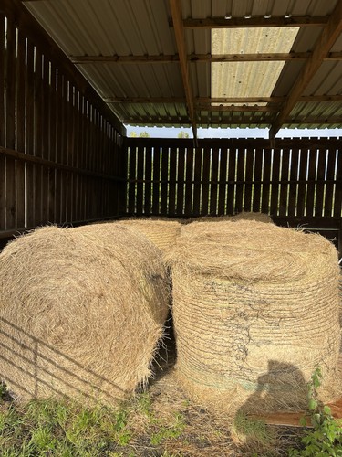 Round bale hay - round,