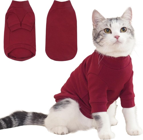 Cat jumper fleece kitten - jumper,