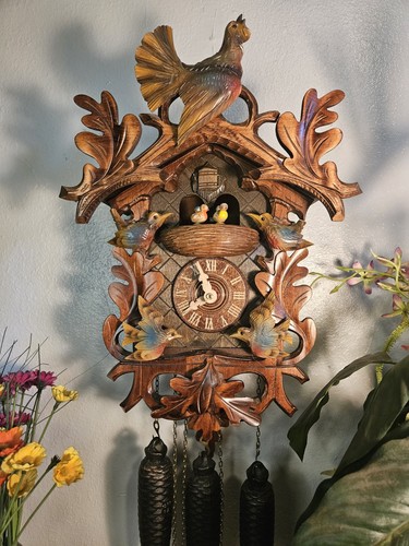 German animated nesting birds - animated,