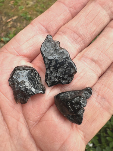 Tektite meteorite polished - tektite,