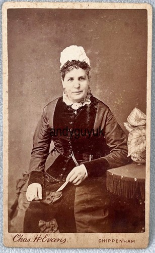 Cdv chippenham lady evans - chippenham,