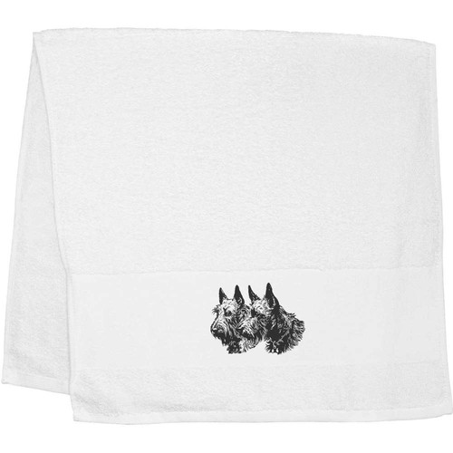 Scottish terrier couple - terrier, couple'