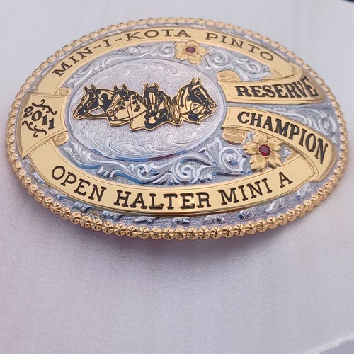 2011 gist belt - belt, buckle