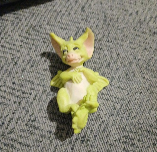 Pocket dragon real - pocket,