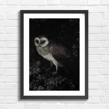 Dark Barn Owl Night Art