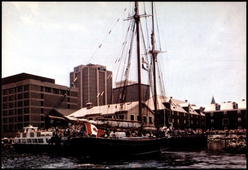Nova scotia bluenose - bluenose, sailboat