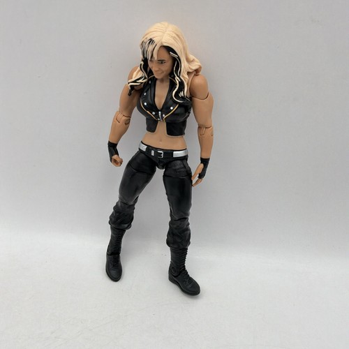 Wwe kaitlyn action figure - wwe,