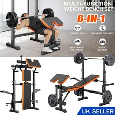 600lbs 1 adjustable - 600lbs, in