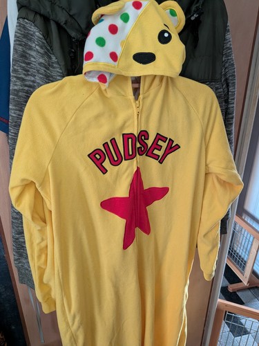 Children need adult pudsey - children,