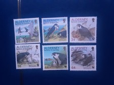 Alderney 2000 Peregrine Falcon