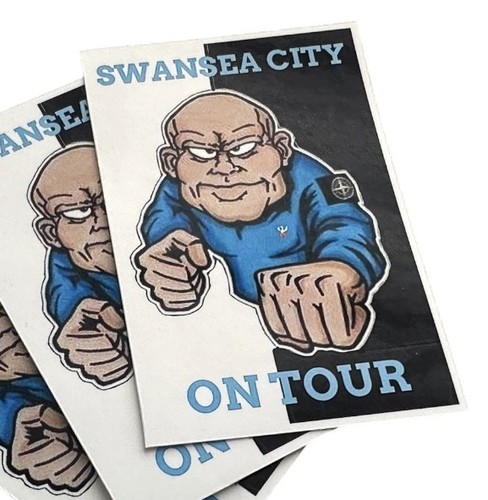 Swansea city hooli - fc-hooli, calling