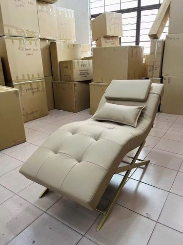Electronic beauty bed - electronic,